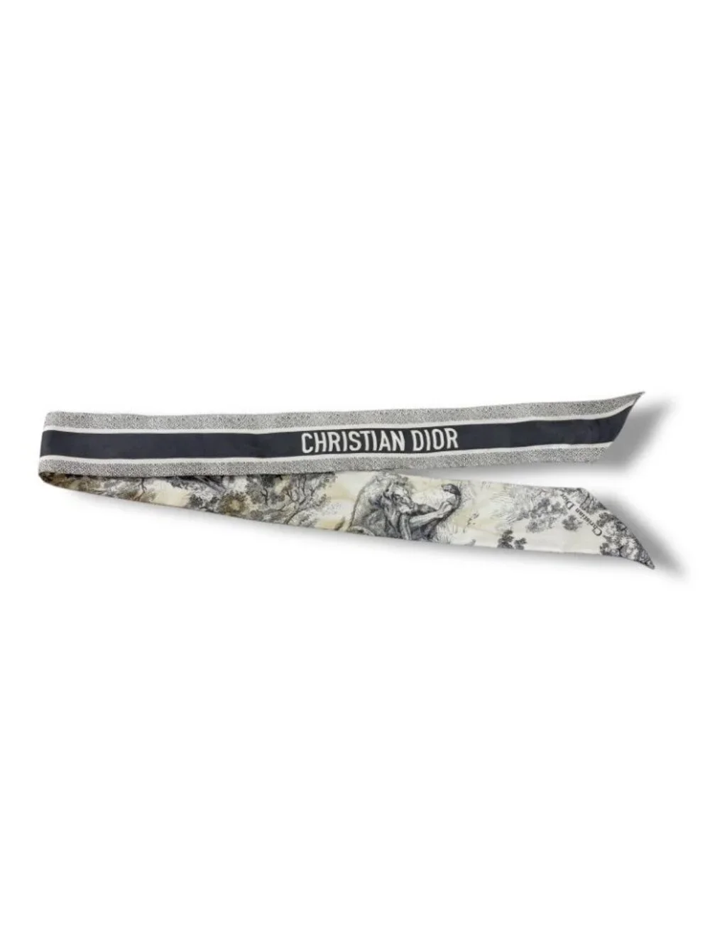Dior Mizza Toile de Jouy Sauvage Scarf